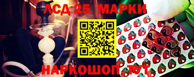 гидра Краснодар