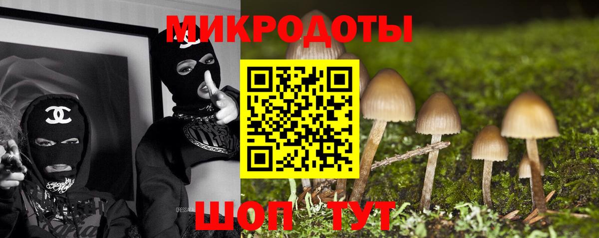 Галлюциногенные грибы Psilocybine cubensis Коряжма