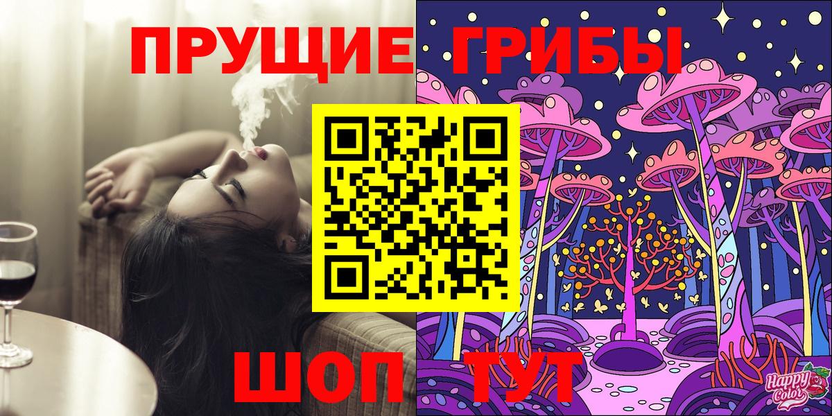 Коряжма  Псилоцибиновые грибы прущие грибы  Вход с VPN  Псилоцибиновые грибы Psilocybe 